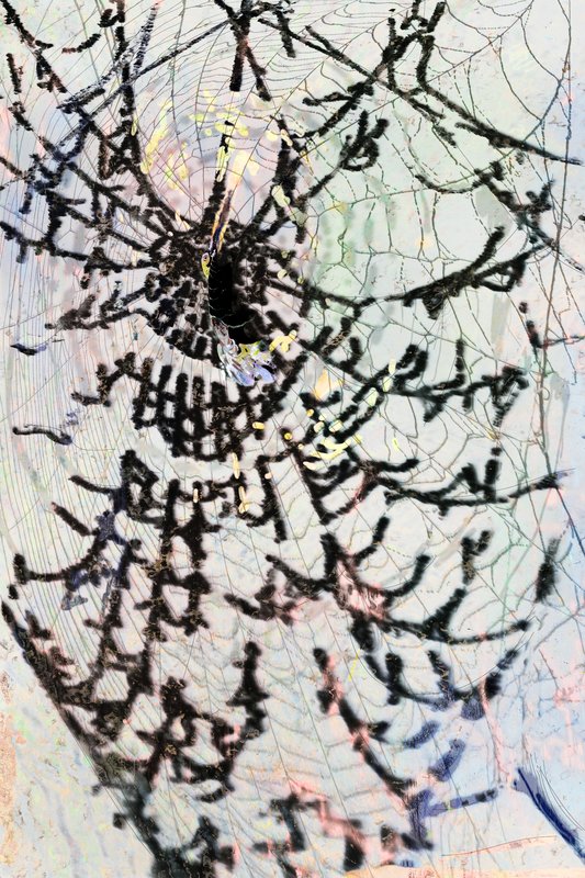 Alex Fischer, Dark Web, 2018-11-13, 30×20″ / 762×508㎜, print